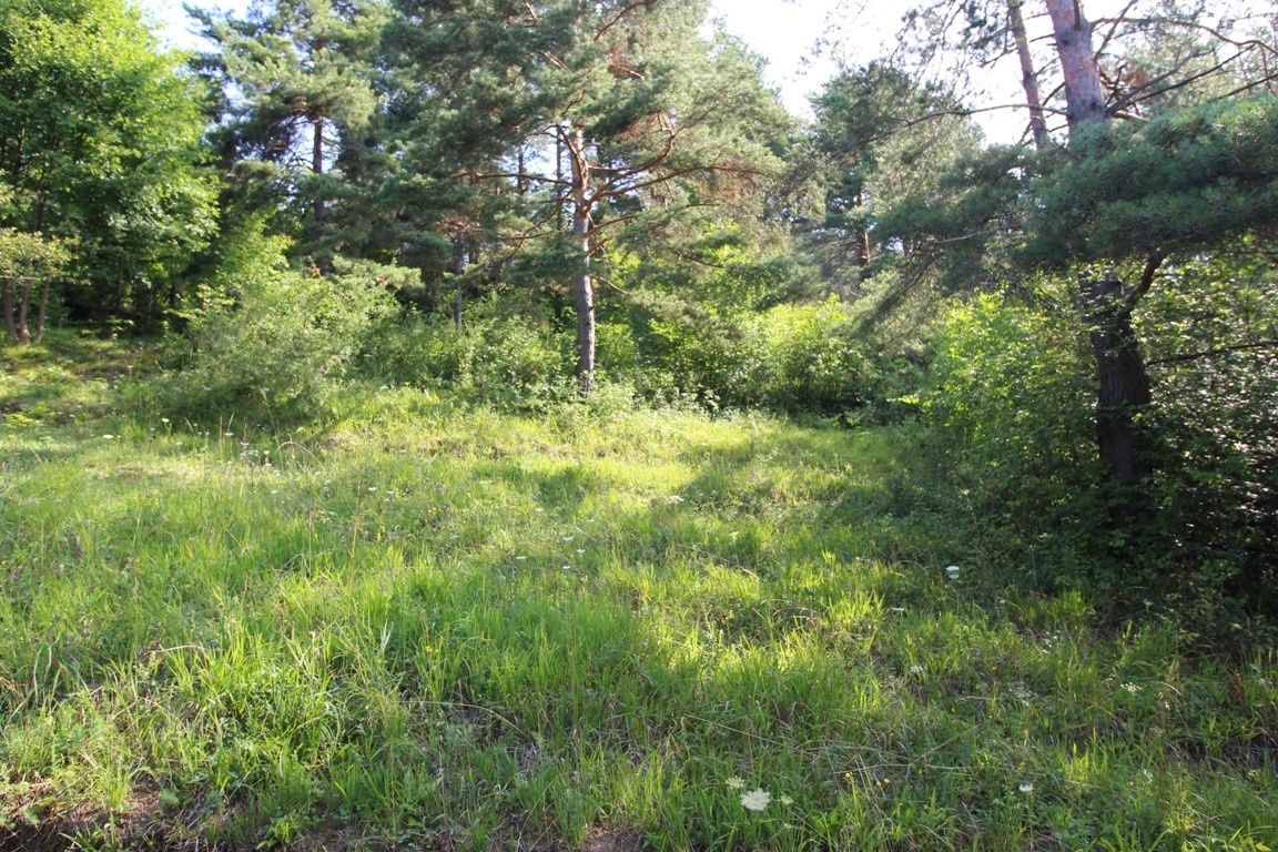 Rekreačný pozemok /1472 m2/, Hlboké nad Váhom - 6