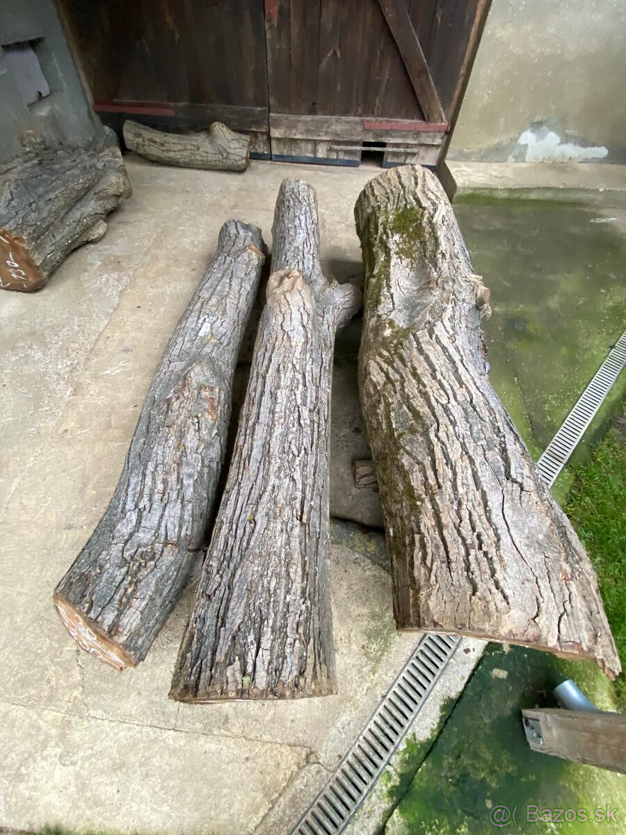 Orechové kmene, guľatina - 6