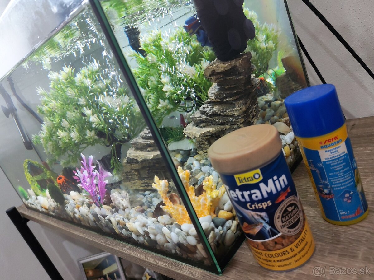 Aquarium aquarel 55l - 6