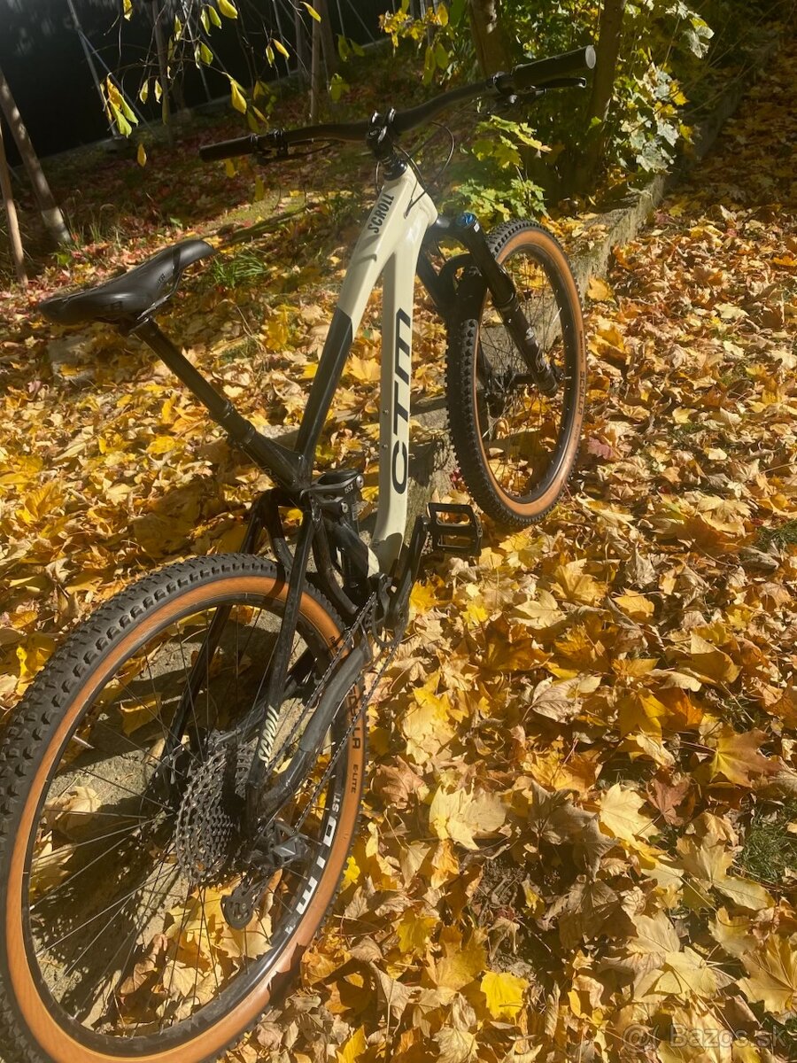 CTM SCROLL XPERT 29" 2023 - 6