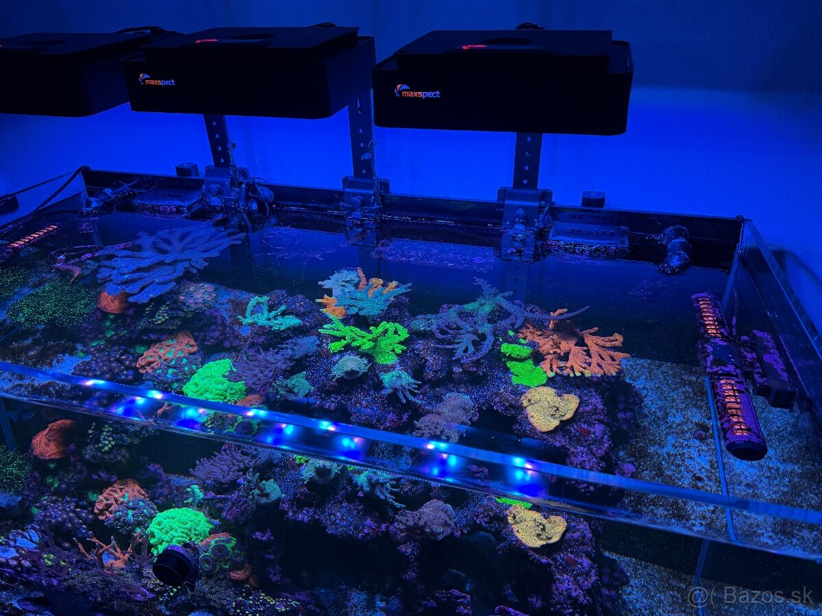 Morské akvárium Blau Set Gran Cubic Super Reef 122 - 6