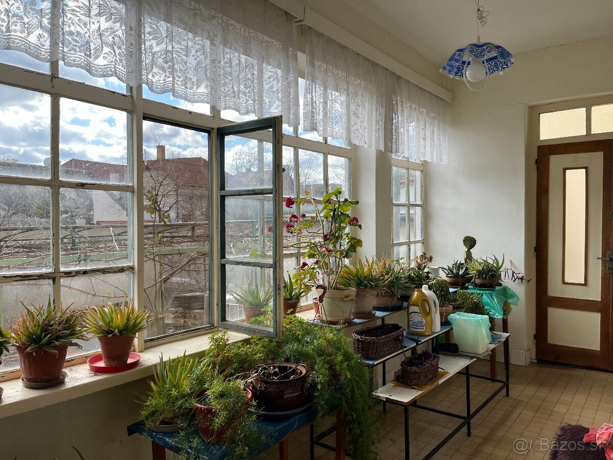 Exkluzívne u nás ( Gombaiho ulica) - 6