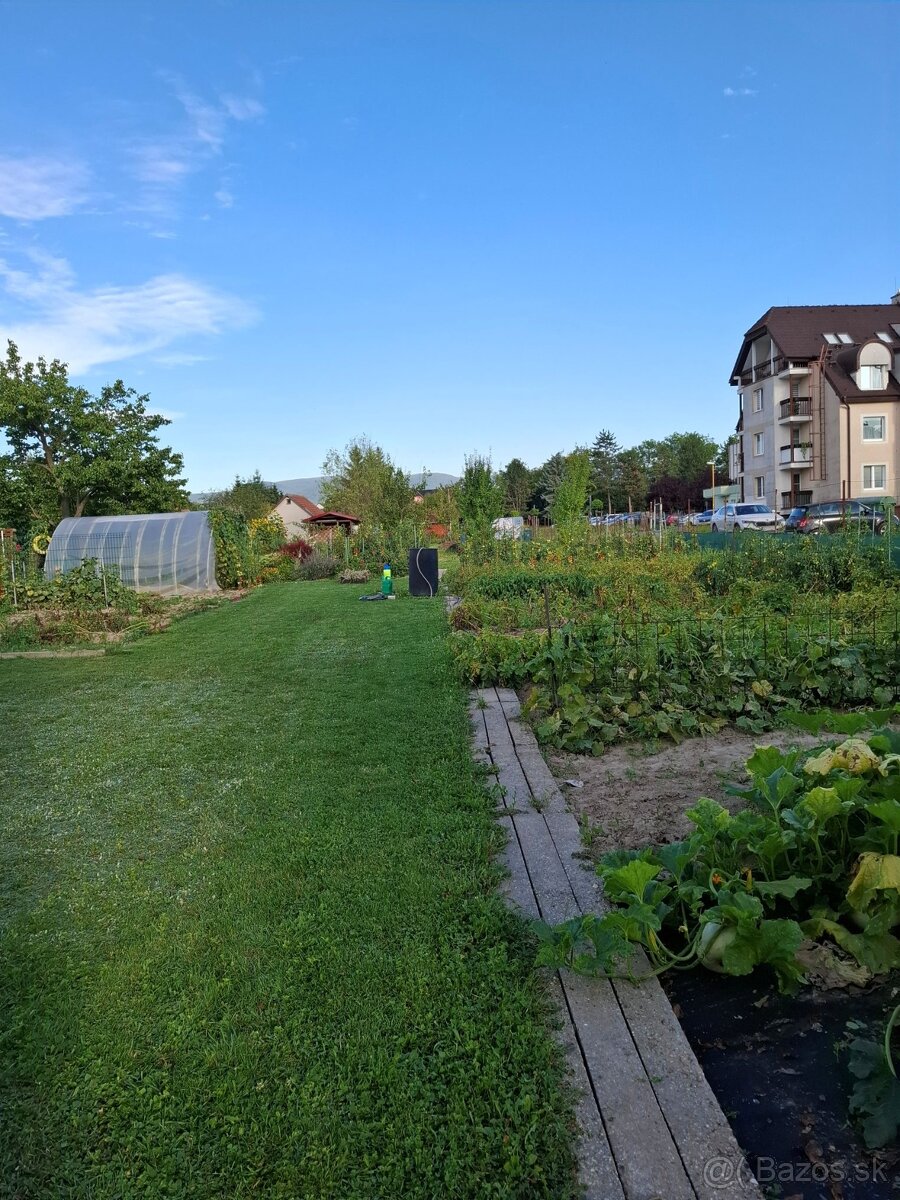 Záhrada - 6