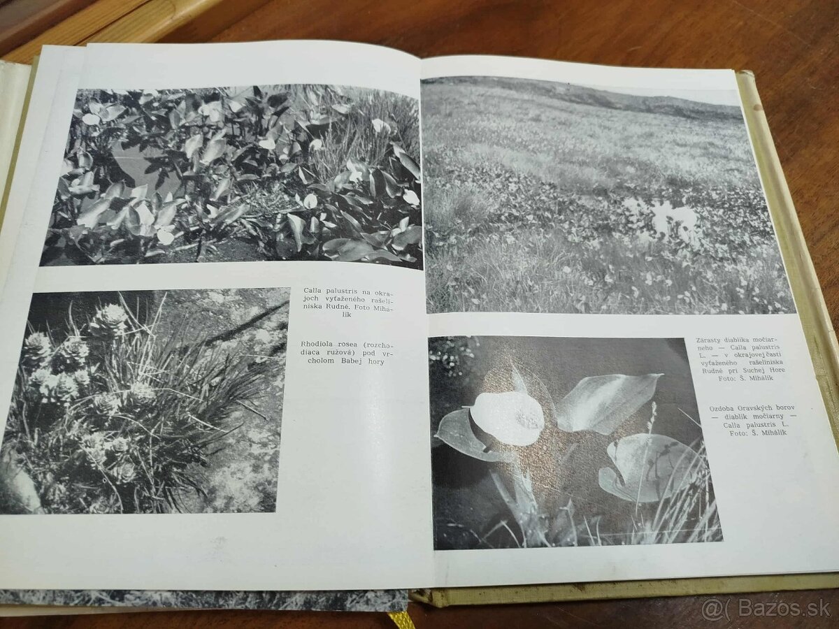 Zborník Oravského múzea I.-1968-Pavol Čaplovič--I.vydanie--n - 6