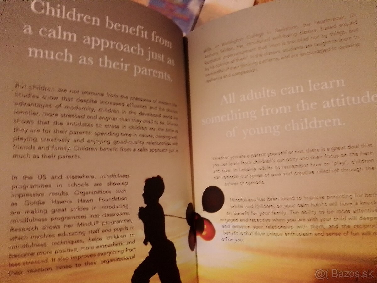 Knihy- mačky, zvieratá, levy, fínčina, Calm (v angličtine) - 6