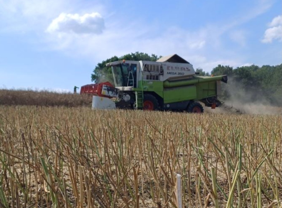 Claas mega 350 - 6