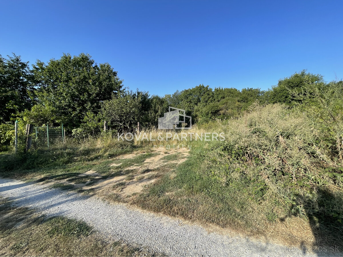 Záhrada v Nitre - v záhradkárskej oblasti - 6