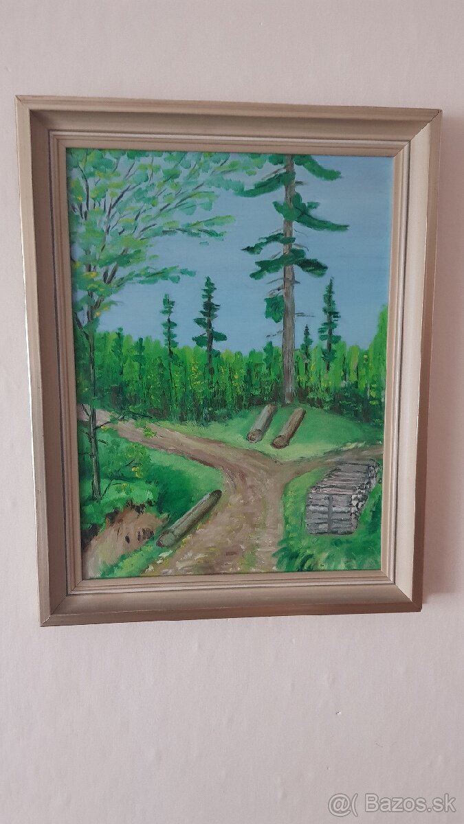 Stare casopisy, knihy a obrazy - 6