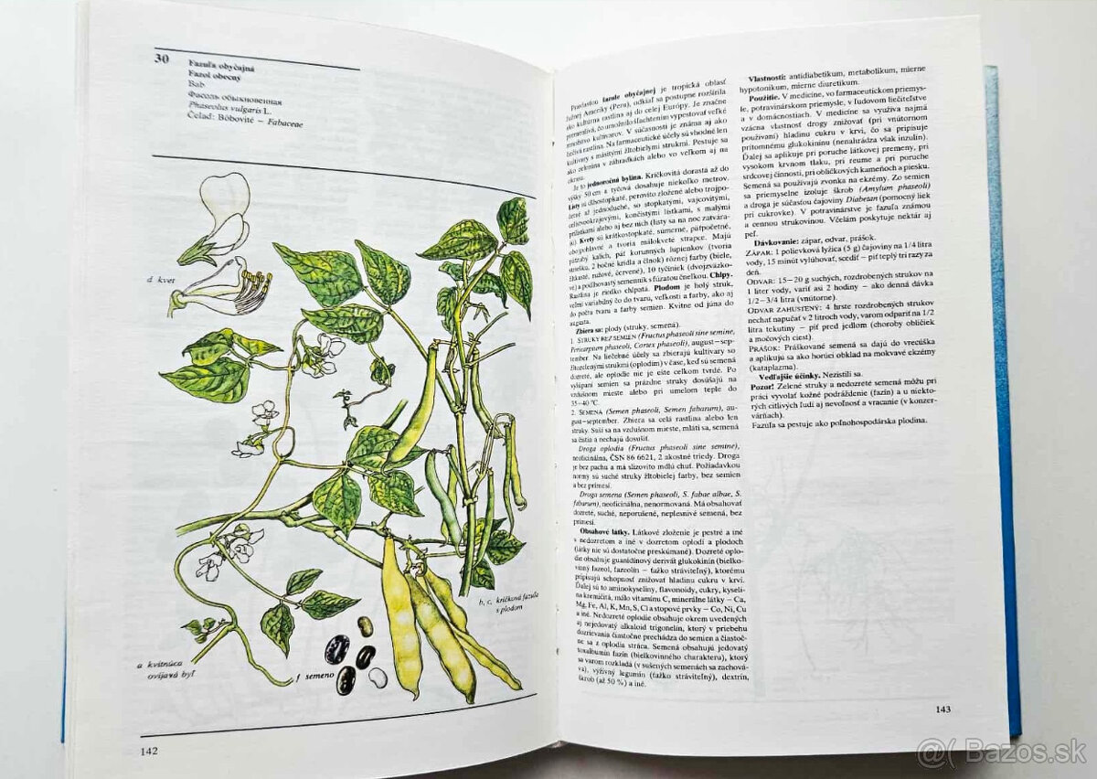 kniha 'Naše liečivé rastliny' - 6