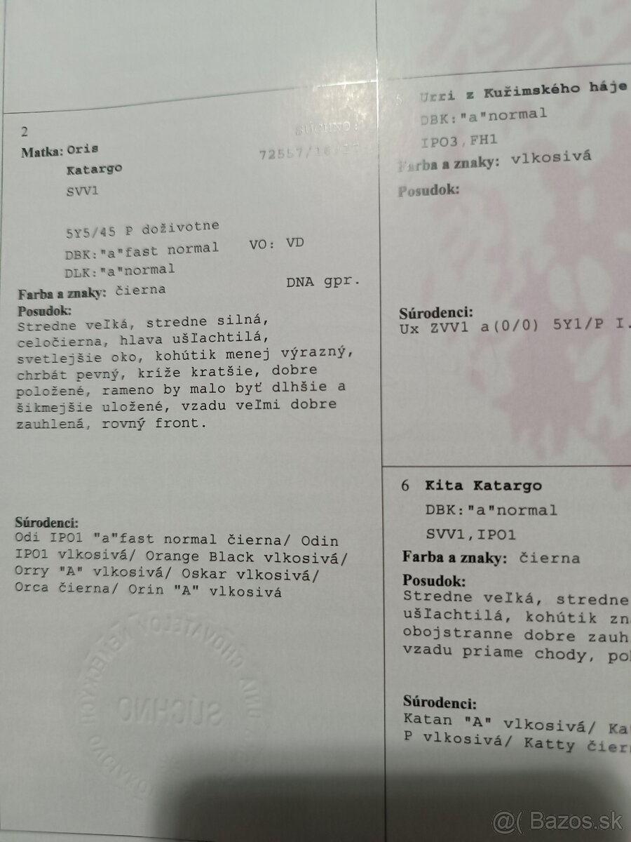 Nemecký ovčiak - 6