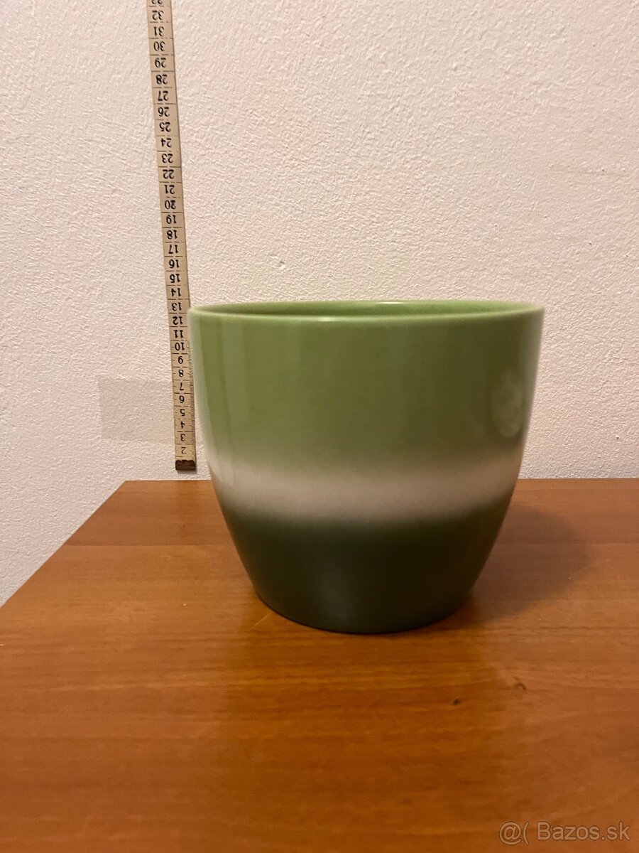 Kvetinče na predaj - 6