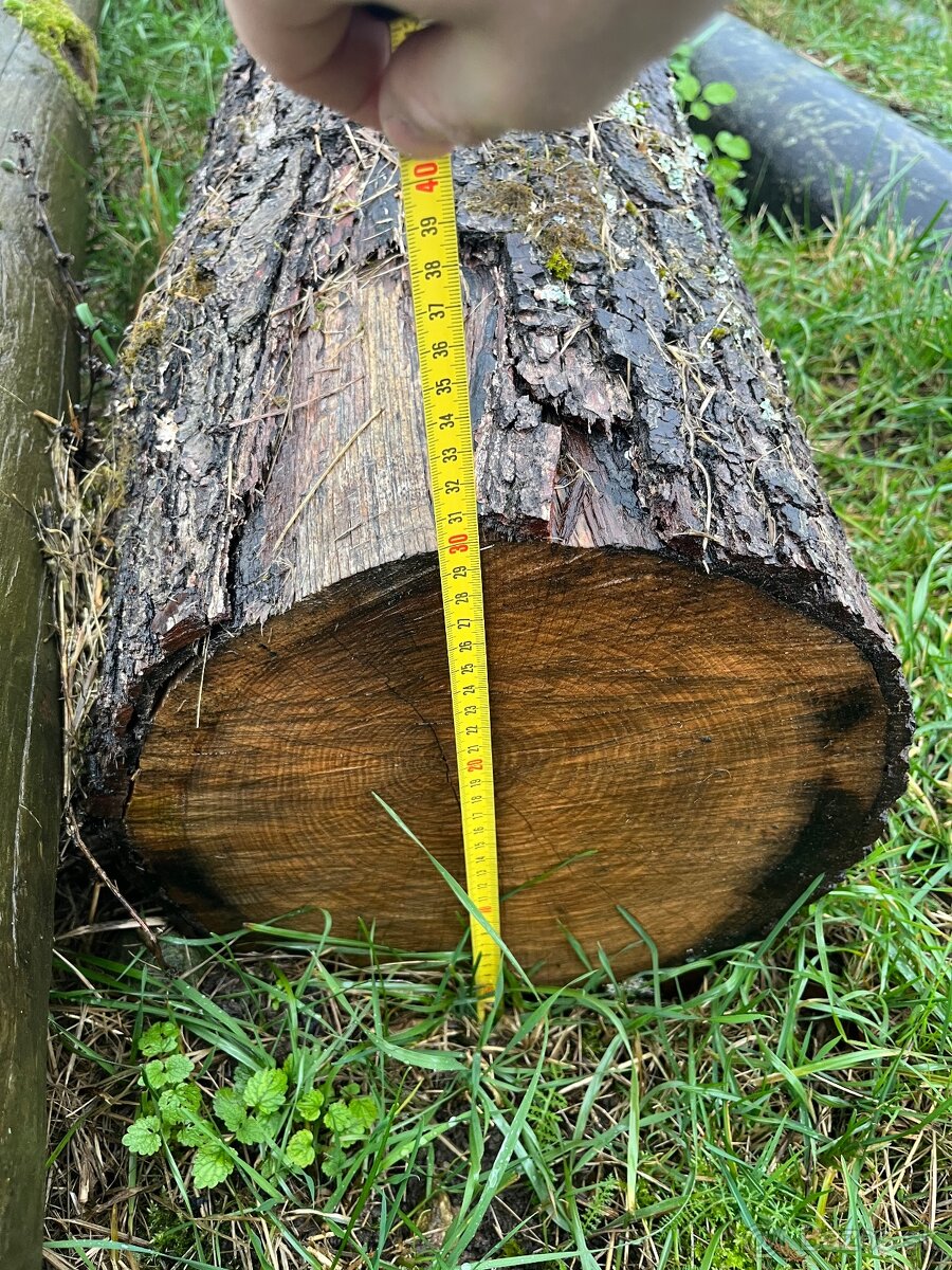 Dubová guľatina - 6