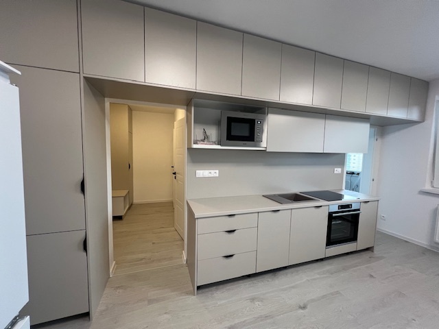 Novo zrekonštr. 2 izb. byt s loggiou, P.Horova - 6