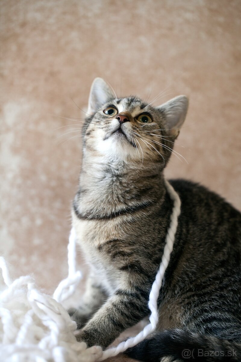 ❤ Dorka - jemná a zlatá dáma - 6