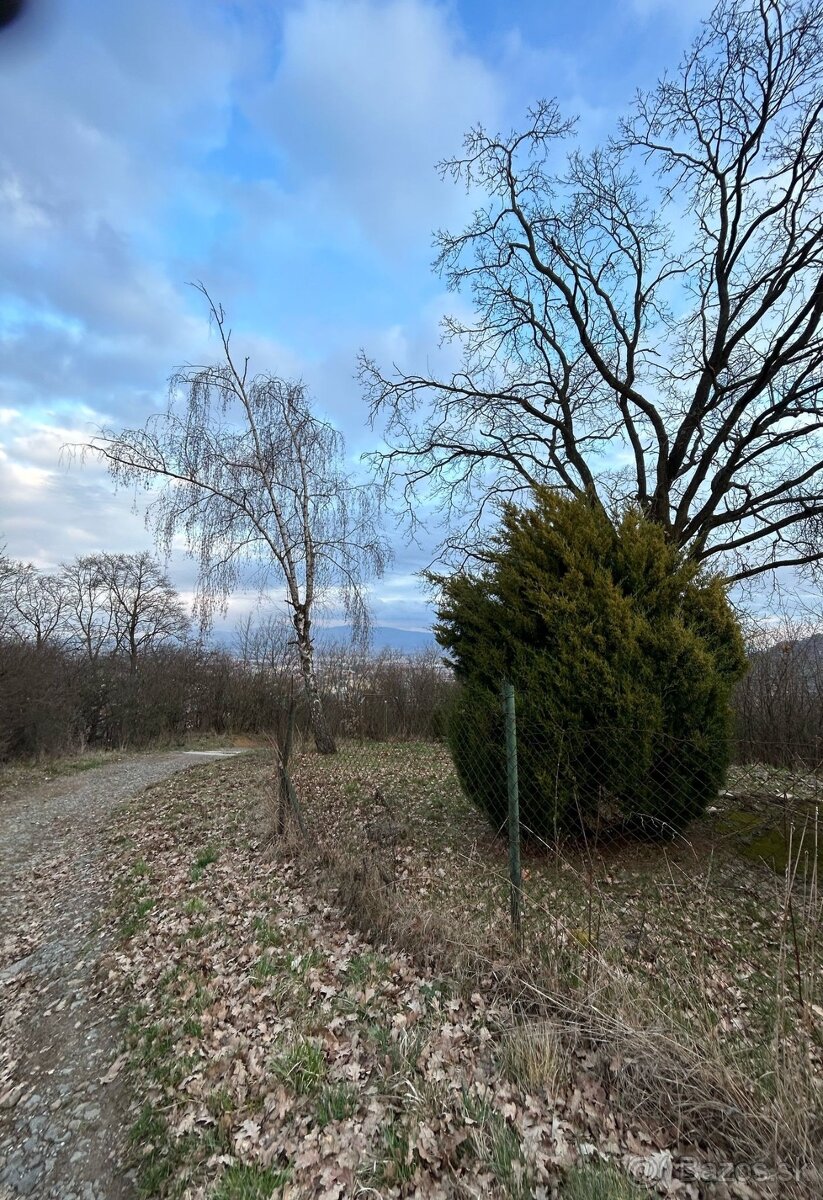 PREŠOV – SLÁVIČIA: INVESTIČNÉ POZEMKY v záhradkárskej zóne - 6