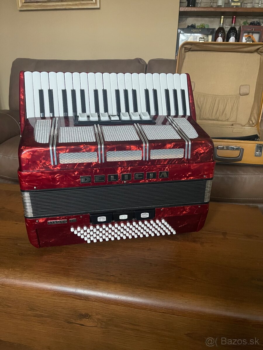 Akordeón Delicia Carmen XIII - 6