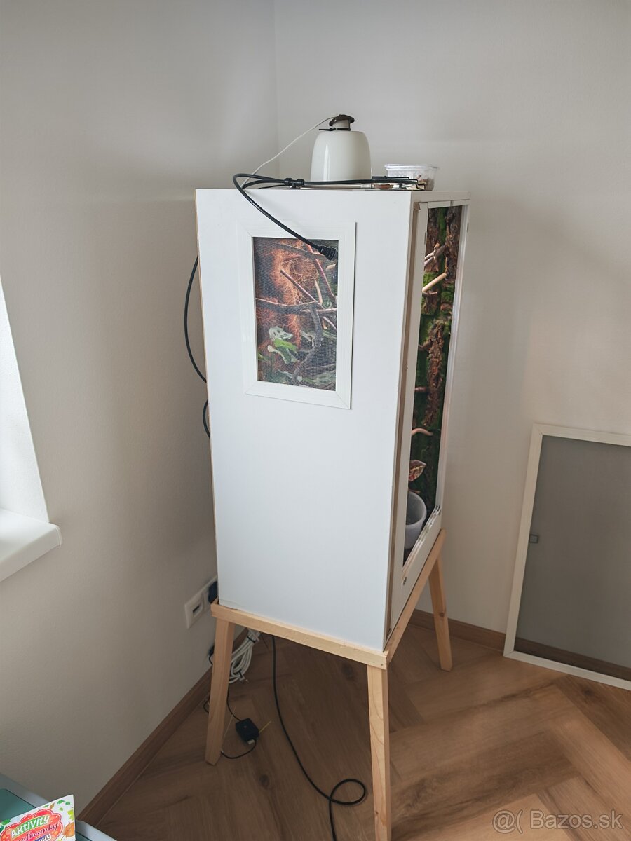 Chameleón pardali - 6