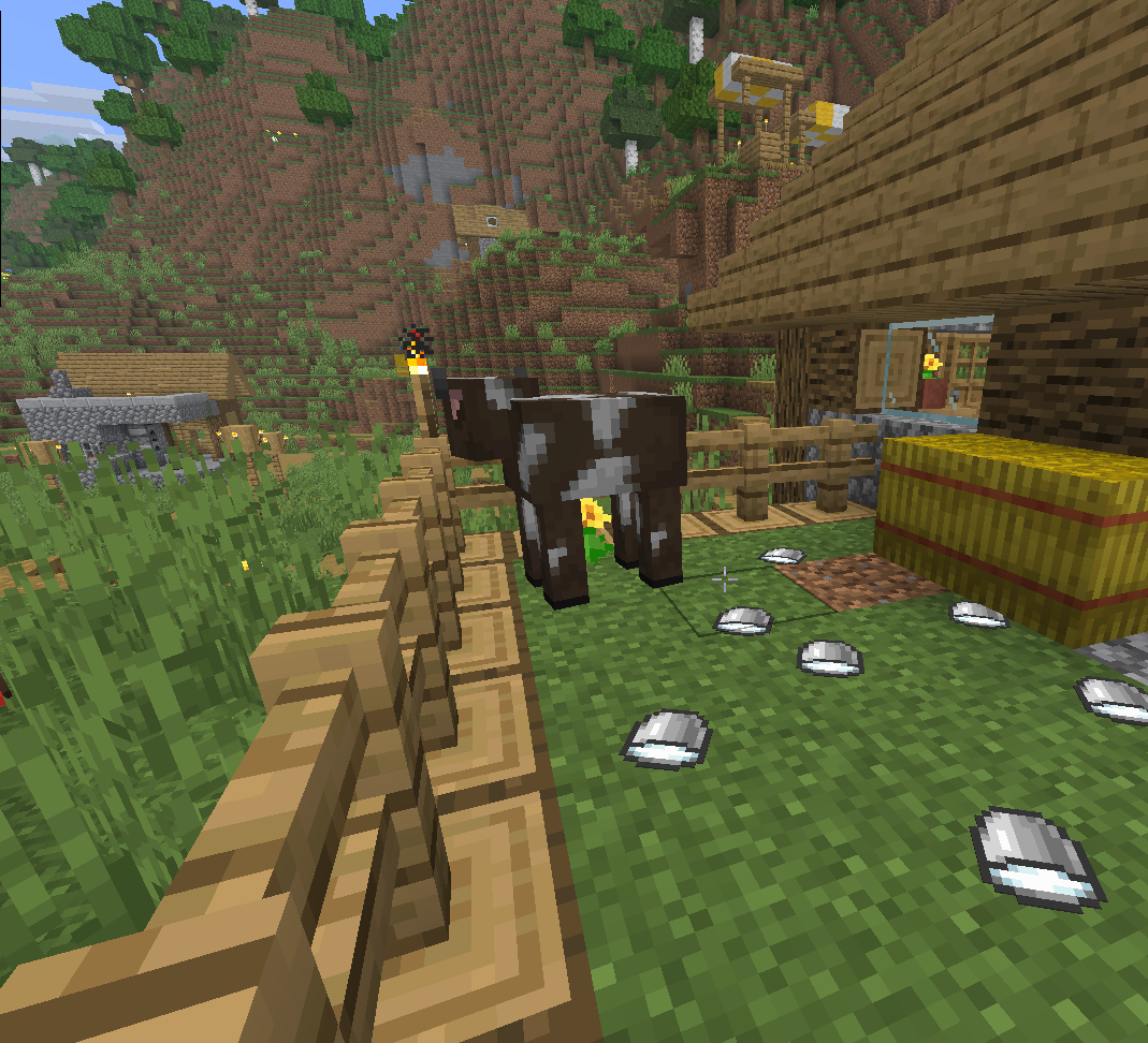 Predam Kockatu Kravu - 6