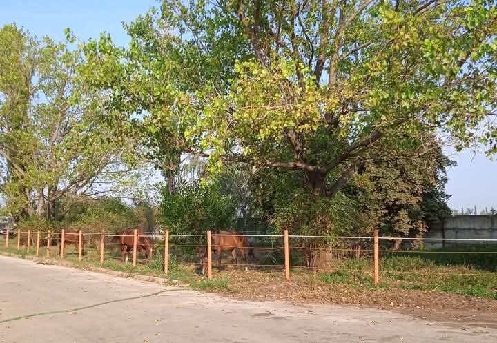 Boxové ustajnenie - 6