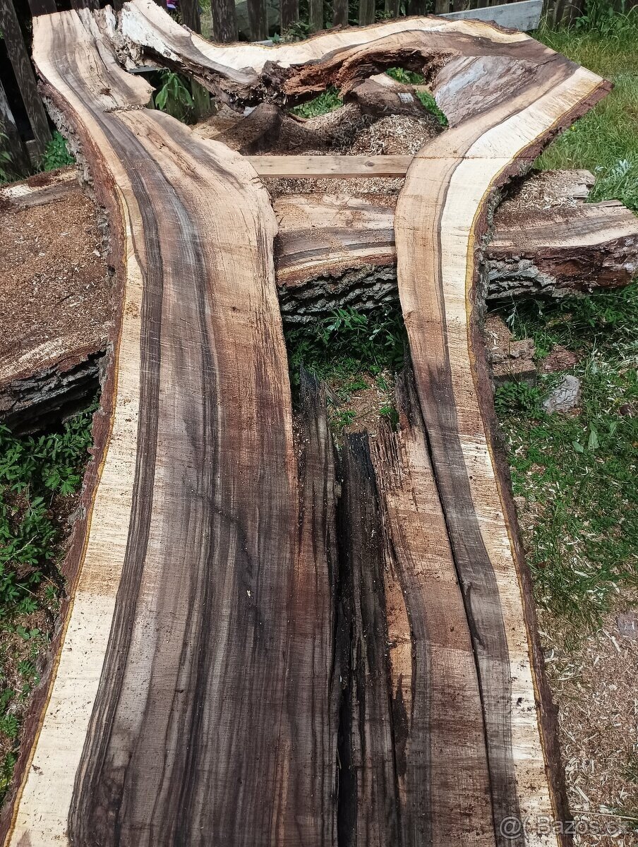 Orechove fosne, hrúbka 84mm - 6