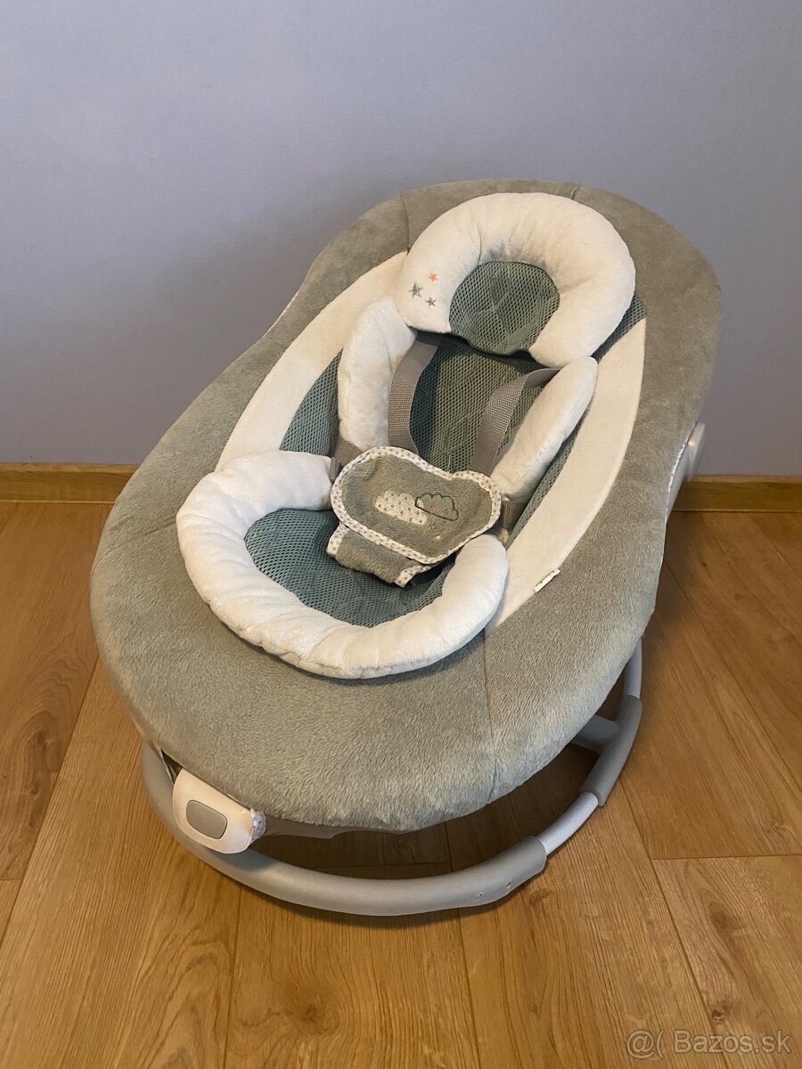 Veľká hojdačka Ingenuity 2v1 - 6