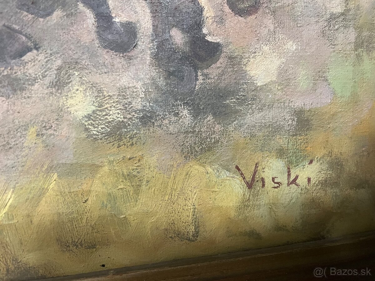 Čikoš so stádom koní - 6