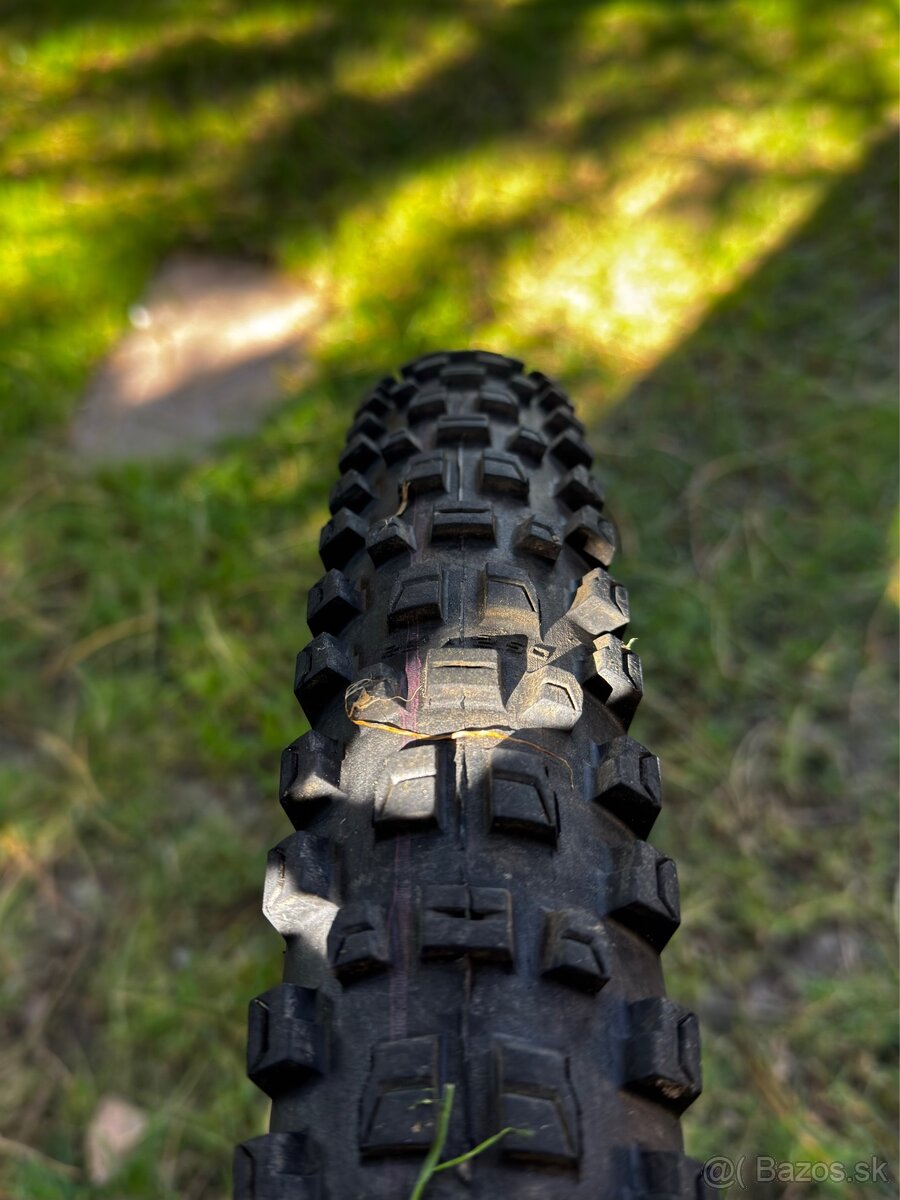 Canyon Strive CFR - 6