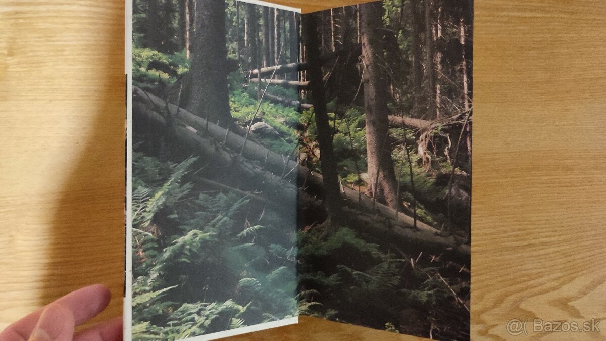 Houbařský atlas - J. a M.Erhartovi ( Huby, Atlas húb ) - 6