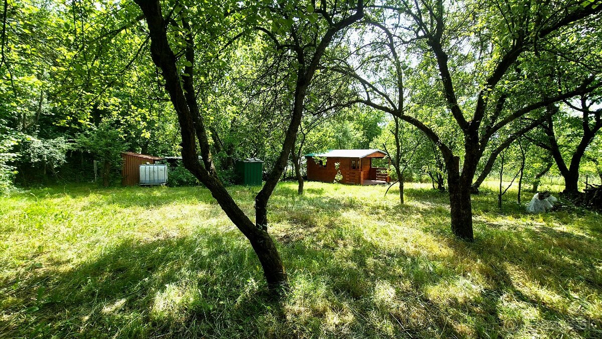 Ponúkame záhradku s chatkou v záhrad. oblasti, Prešov. - 6