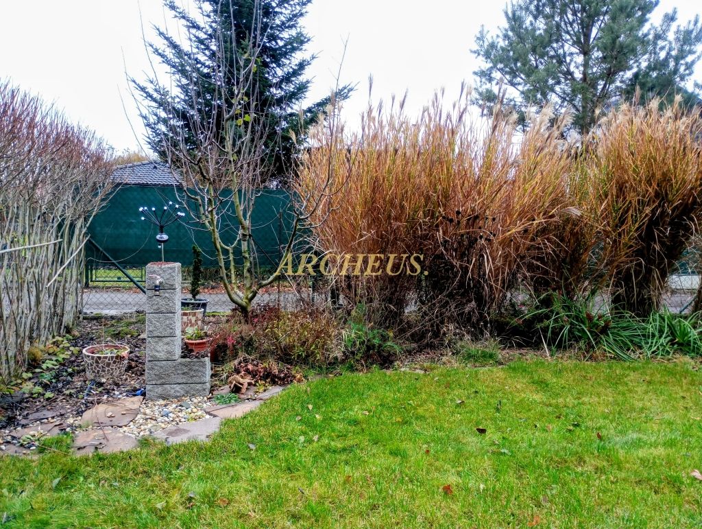 Záhradná chatka s obytnou jednotkou a pozemkom Malacky - 6