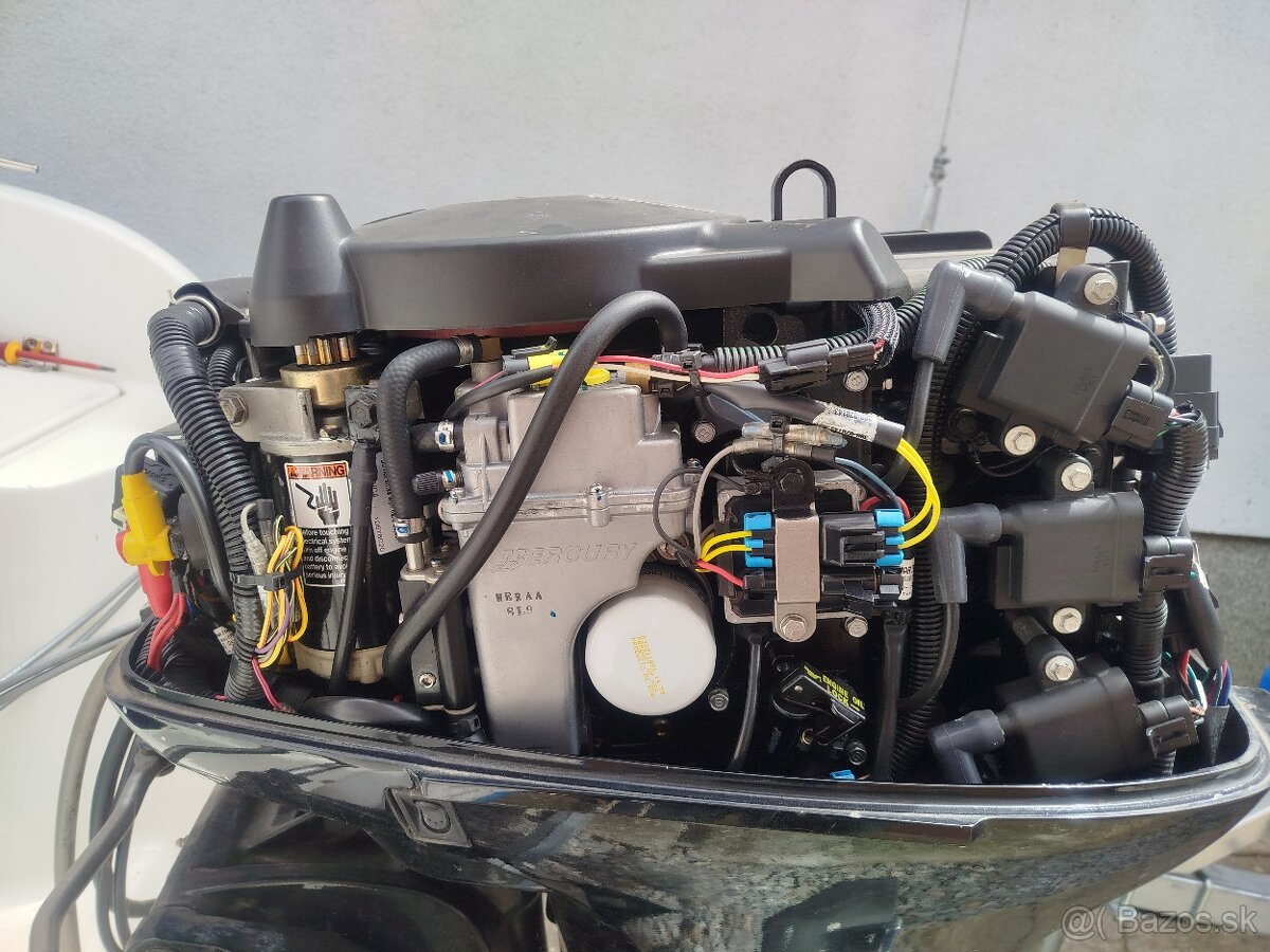 Quicksilver flamingo - 6