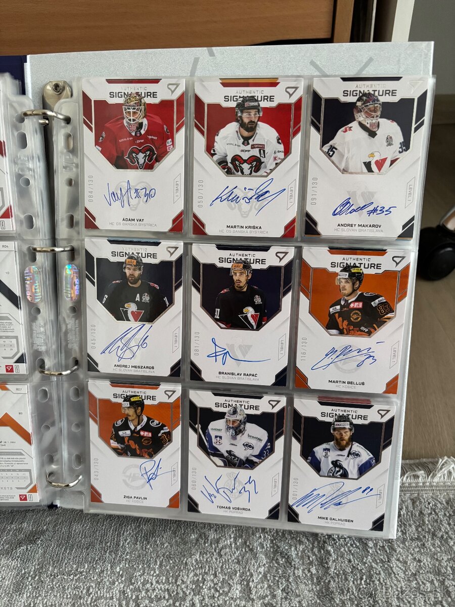 Hokejové kartičky - 6