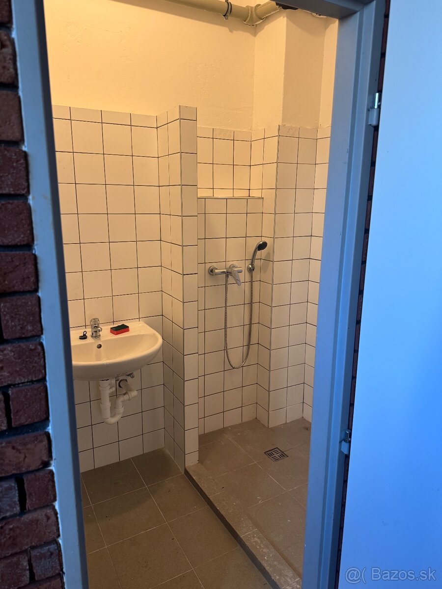 Priestor na prenájom - 6