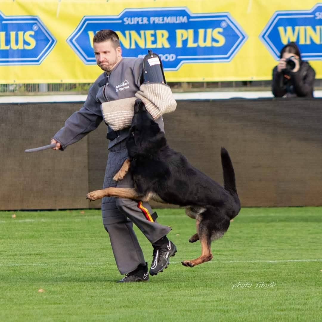 Nemecký ovčiak s PP - 6