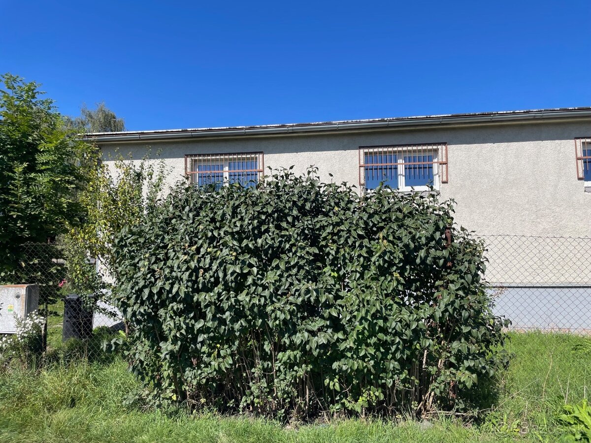 Skladový areál 1.599 m² Martin - Priekopa - 6