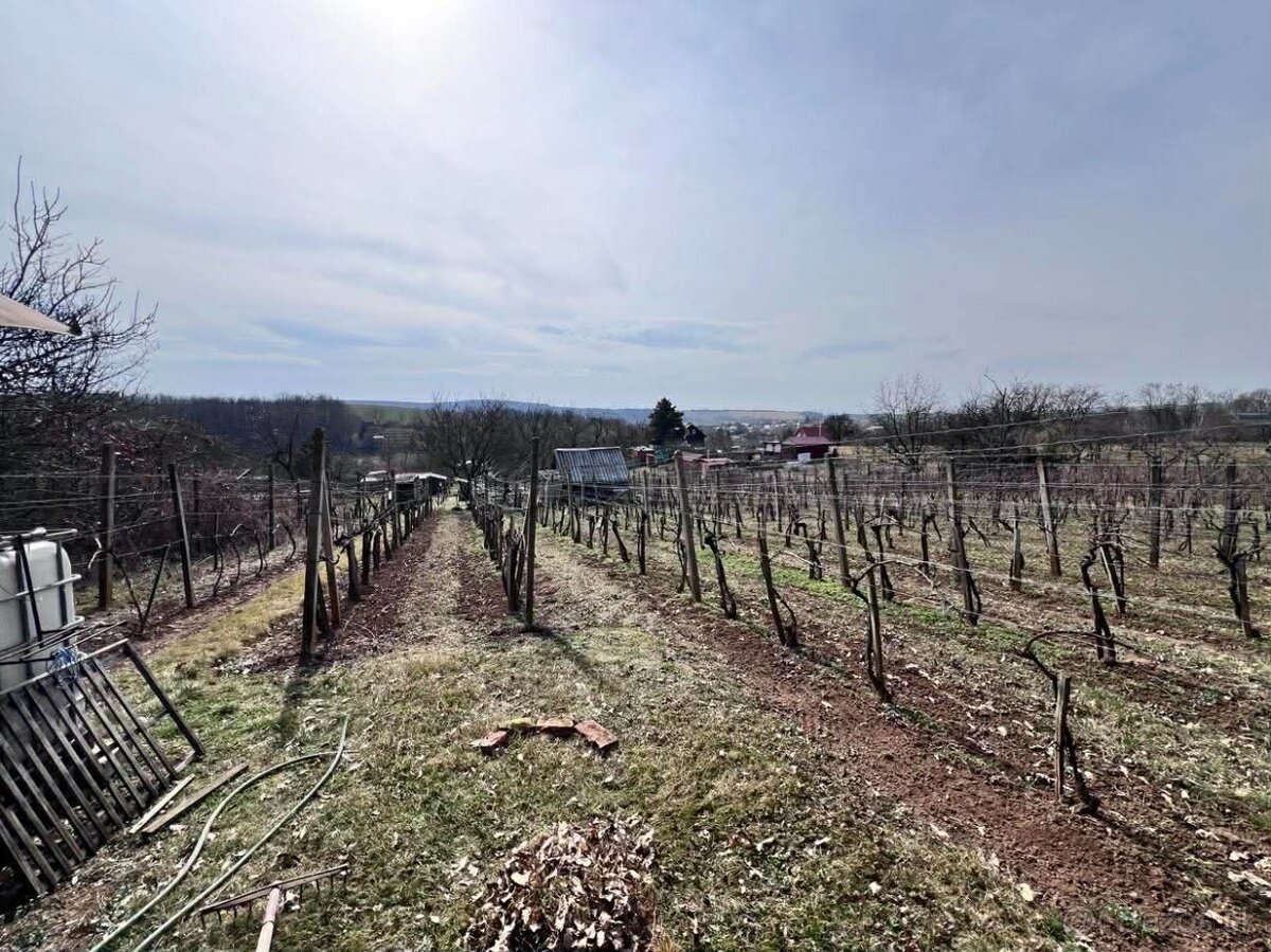 Záhrada – Čankov (Levice), 441 m² - 6