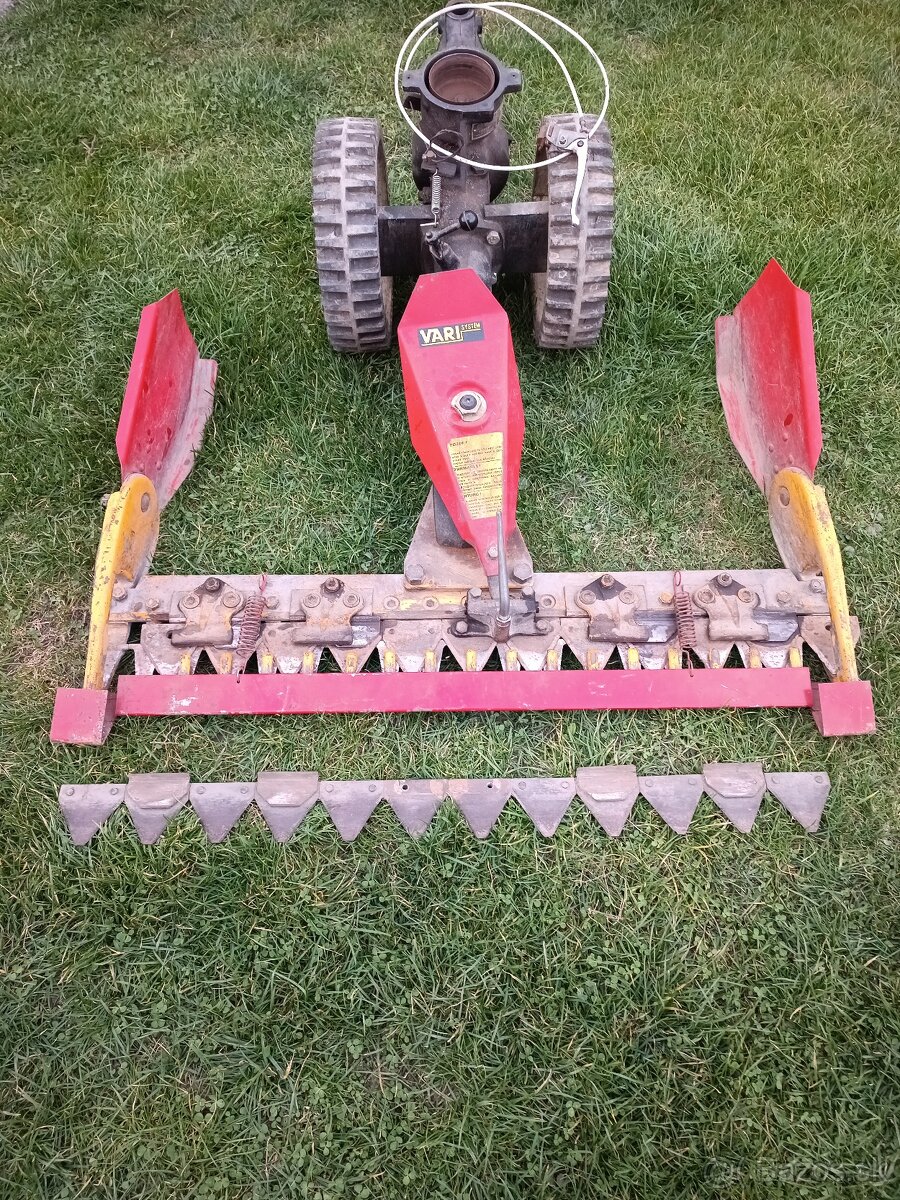 Vari listova kosacka - 6