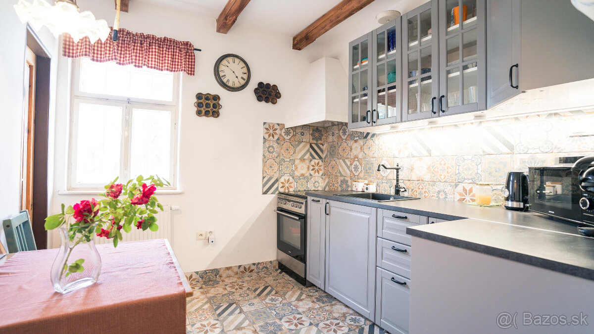 Chalupa na Záhorí - Borský Mikuláš - 6