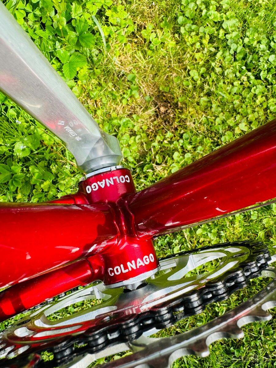 Colnago Nuovo Mexico - 6