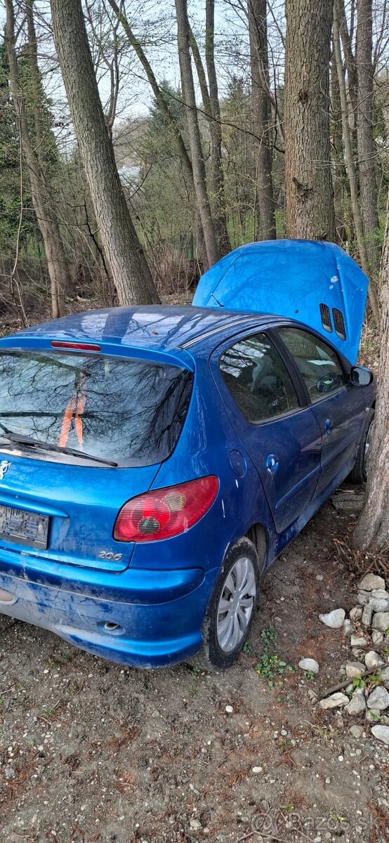 Burane peougeot 206 - 6
