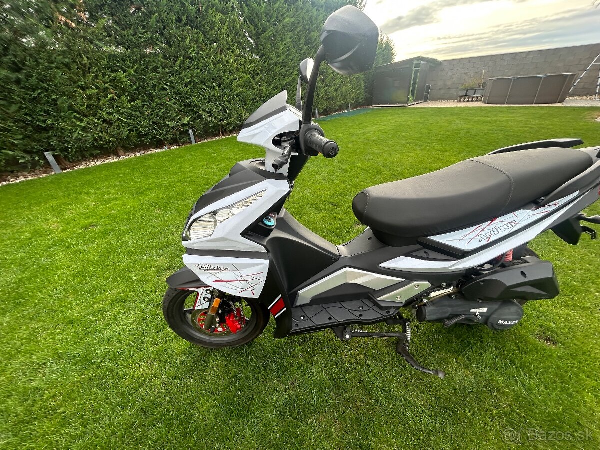 MAXON Ardour 125 - 6