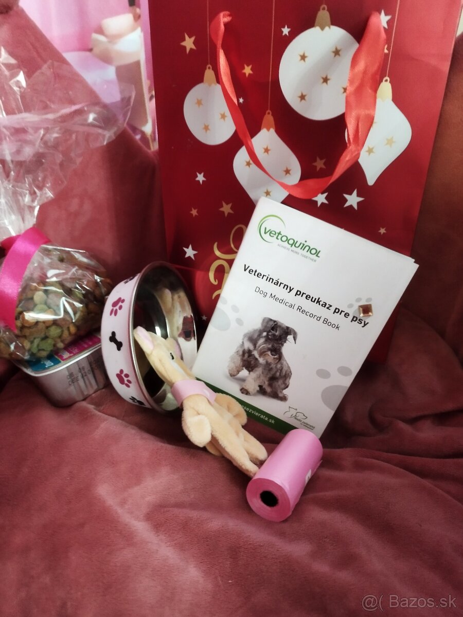 Mini maltezak šteniatka - 6