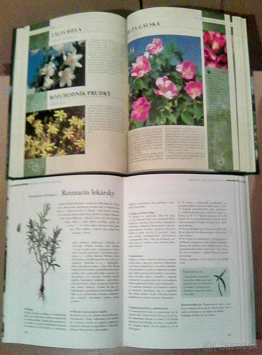 Knihy pre zdravie - liečivé byliny - 6