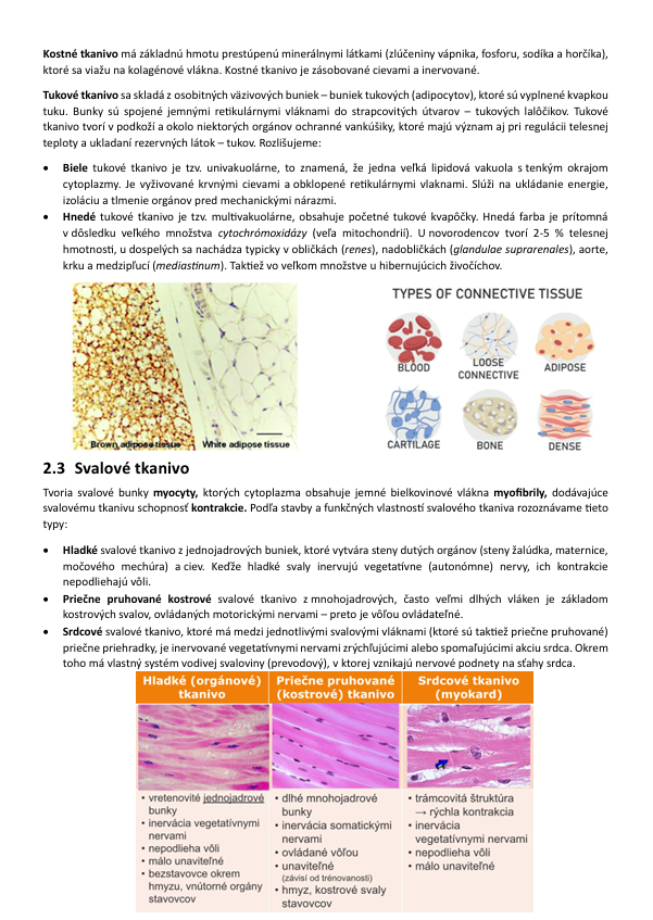 Biológia človeka - 6