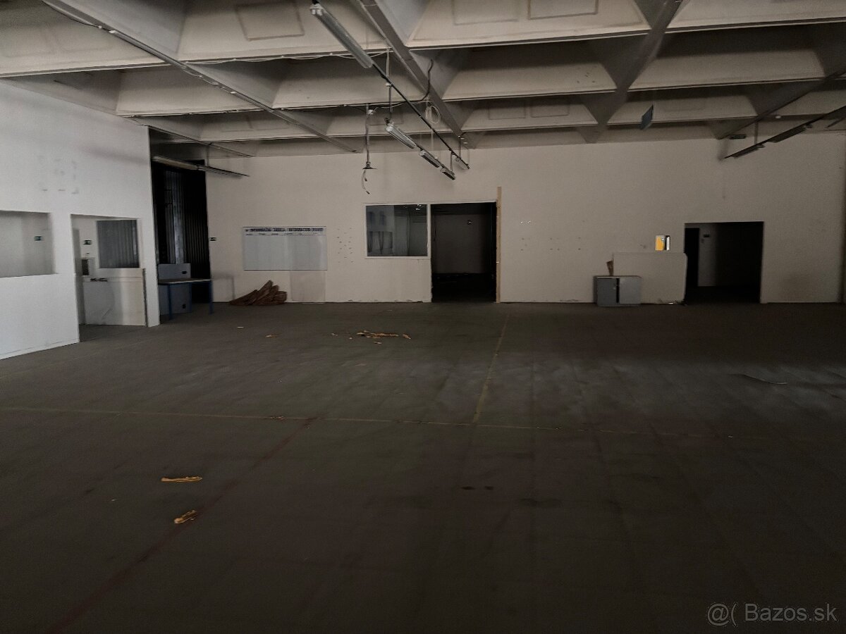Haly na prenájom - 6