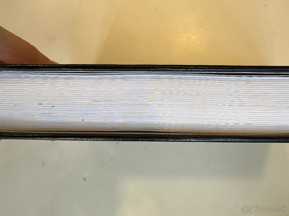 Mein Kampf- Adolf Hilter komentár Roman Vyskočil - 6