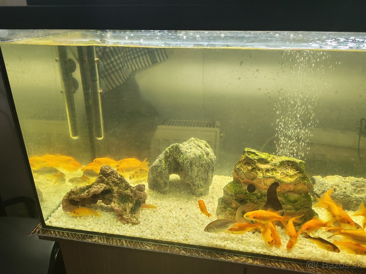 Predám komplet akvárium - 6