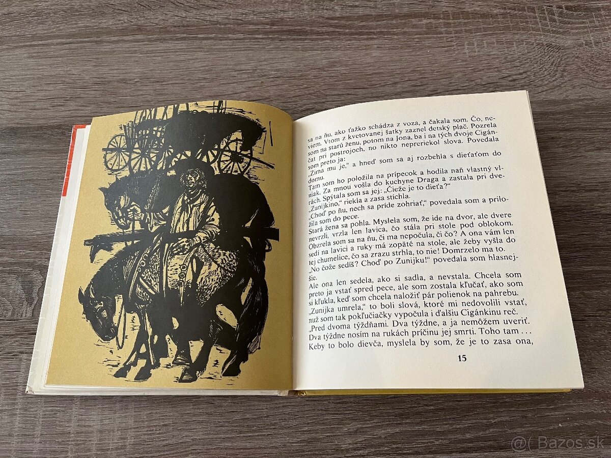 Hana Zelinová Jakubko - 6