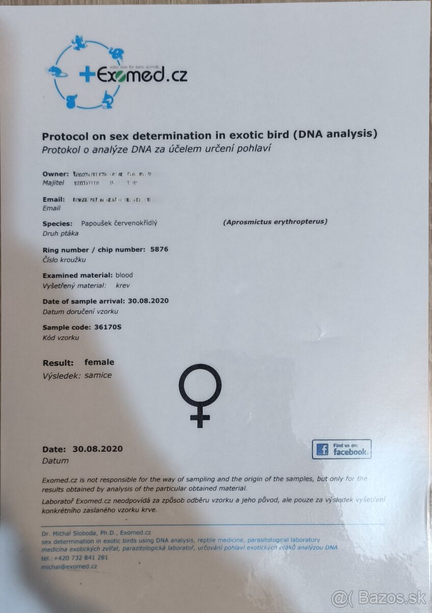 Papagáj červenokrídly - 6