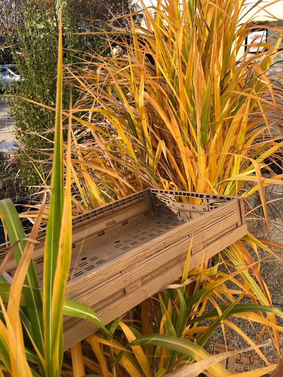 Bednička / Prepravka / skladací box s imitáciou dreva - 6